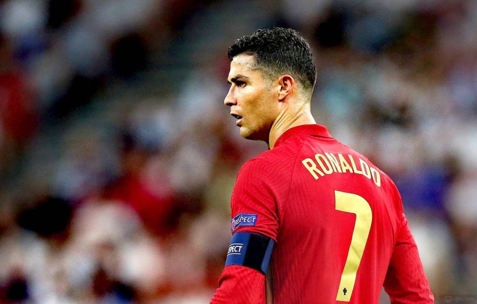 供了现实的 供了现实的